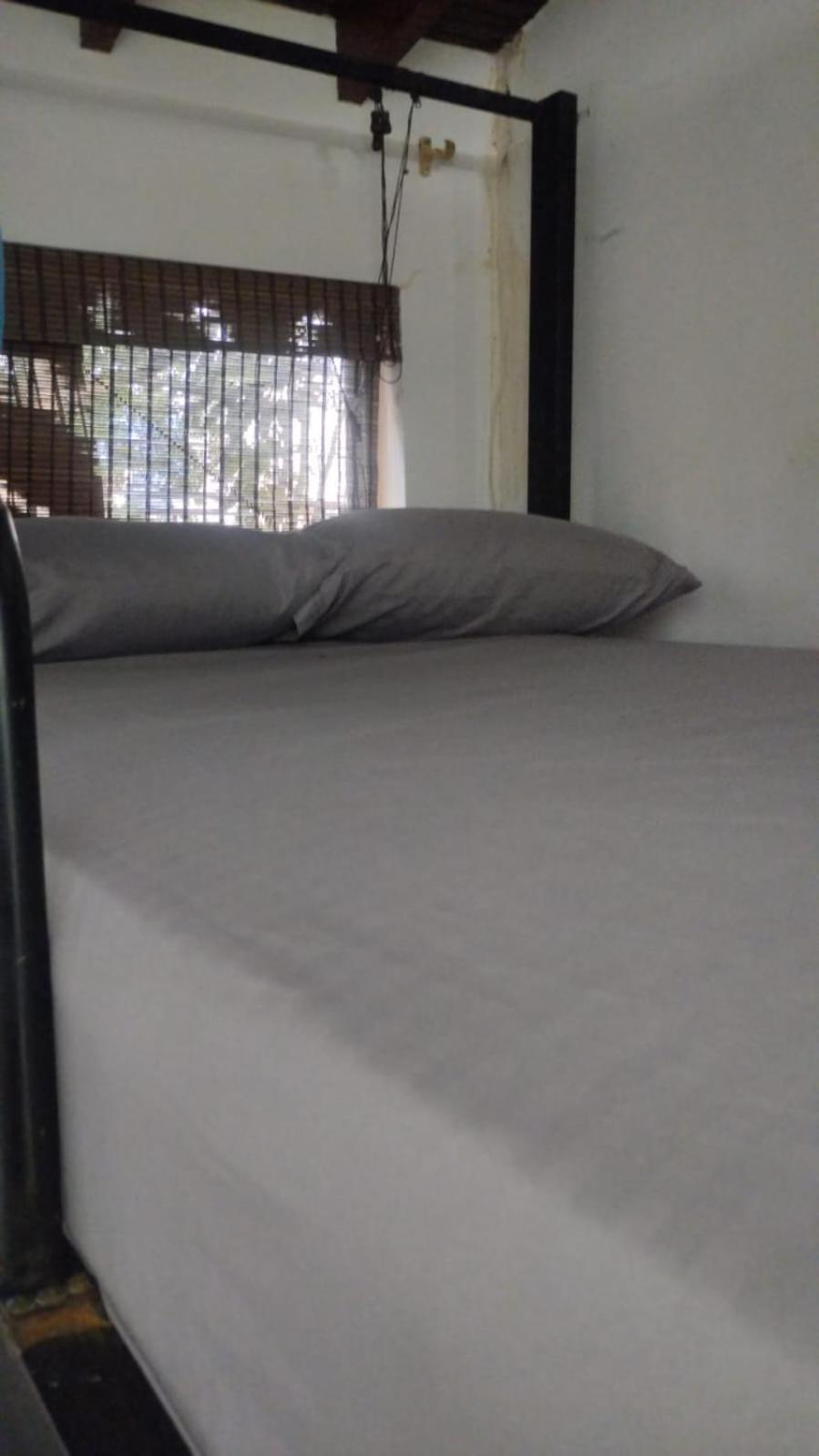 Area 51 Hostel Medellin Luaran gambar